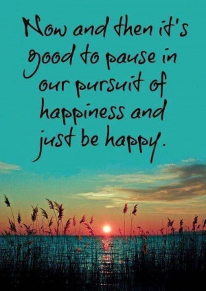 ... in our pursuit of happiness and just be happy #quote #qotd #happiness