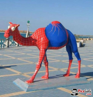 Spider Man Camel Funny