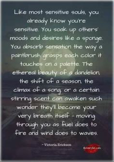 Highly Sensitive Person / People