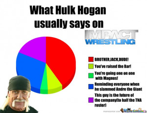 Hulk Hogan quotes