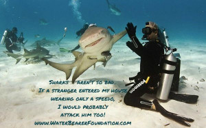 aren't so bad! Funny little shark humor! Diving quotes, shark quotes ...
