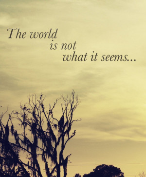 ... Quotes About Life The World Is Not What It Seems And The Capture Of