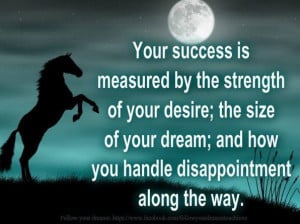 ... Size Of Your Dream And How You Handle Disappointment Along The Way