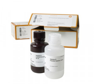 Amersham ECL Prime Western Blotting Detection Reagent