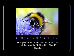 Appreciation Quotes and Affirmations by Eleesha [www.eleesha.com]
