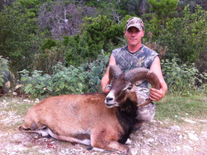 My mouflon gold metal 86 7 8 I 39 ve wanted to kill a mouflon ram like