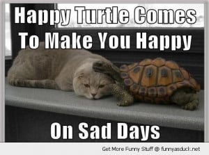 sad cat lolcat animal happy turtle here on bad days funny pics ...