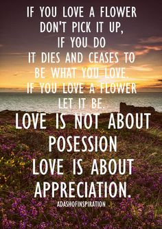 Love is not about possession, love is about appreciation.. The ...