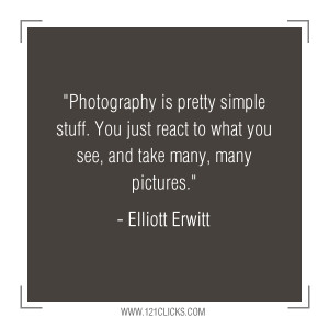 ... inspiring sayings/quotes from Master Photographer Elliott Erwitt