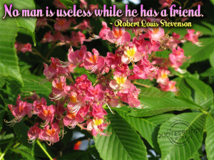 HTML Embed Code for Myspace, Hi5, Tagged, Friendster: