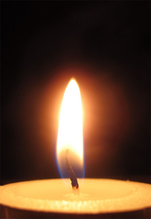 Darkness and flame quotes