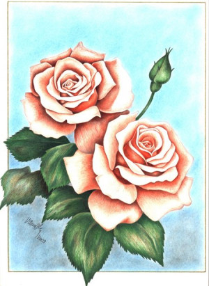 Colored Pencil Flower Drawings