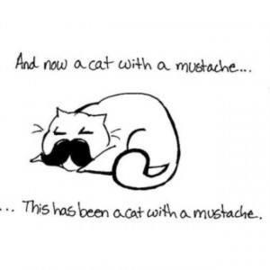 cat #funny #mustache