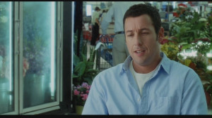 Sandler-in-Funny-People-adam-sandler-19282873-900-506.jpg