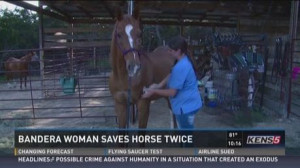 woman saves horse's life twice - KENS 5 TV | Inspirational Horse ...