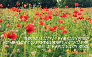 Poppy Field in Saaremaa, Estonia Quote: