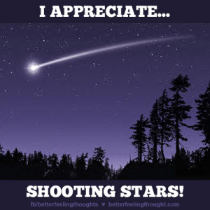 Posted on Friday November 8th 2013 in BFT 39 s