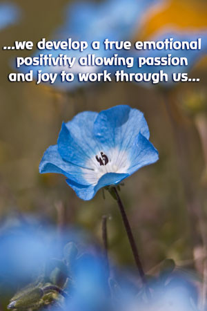 The Symbolic Underpinnings of the MetaFlora Levels Map of the Soul