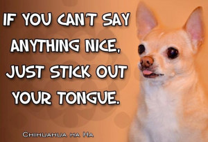 Funny Chihuahua quote via www.Facebook.com/ChihuahuaHaHa