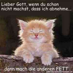 die Katze lässt das Mausen nicht ...