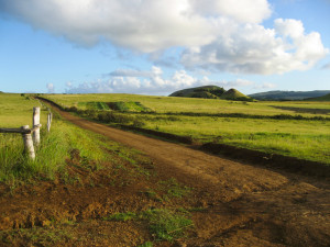 Green Field With Dirt Road At Easter Island Rapa Nui picture