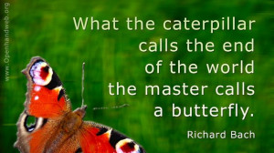 What the caterpillar calls the end of the world the master calls a ...
