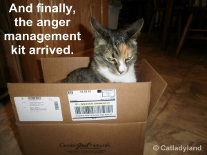 Anger Management and a Cattoo Winner!