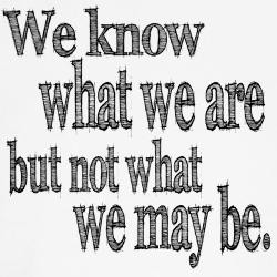 shakespeare_know_not_what_we_may_be_tee.jpg?color=NavyWhite&height=250 ...