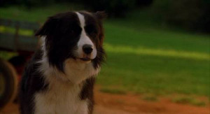 Browse: Home Search for Beau Full Name On Duck Dynasty