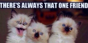 Theres Always That One Person Will Have ...