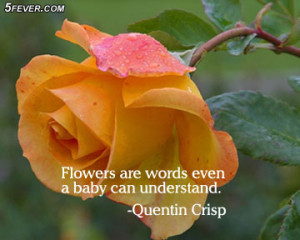 Flowers Are Words Even A Baby Can Understand Quote