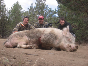 hog-hunting-featured.jpg