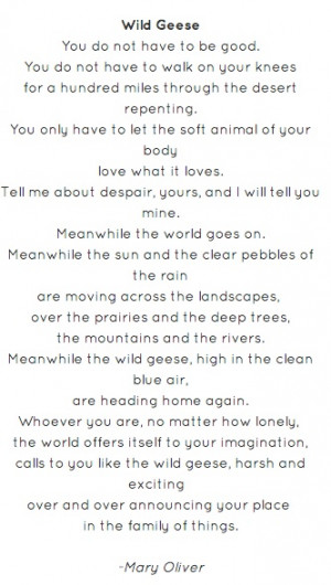 ... Poet Ponderings ¤ poetry, quotes & haiku - Wild Geese by Mary Oliver