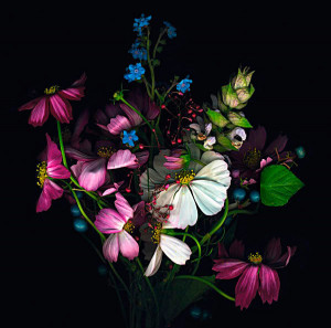 Dream quote by Joyce chapman/Rose and flower pictures