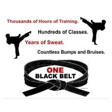 Get a karate black belt (maybe not in this life, but in the next one ...