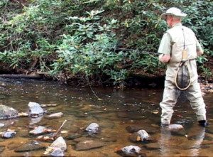 James Marsh on Laurel Fork Creek