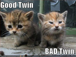 You decide whether they are good twin or bad twin ?