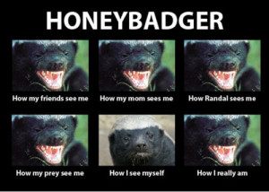 Honey Badger don't care