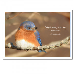 Photo of business birthday card with bluebird with Lewis Carroll ...