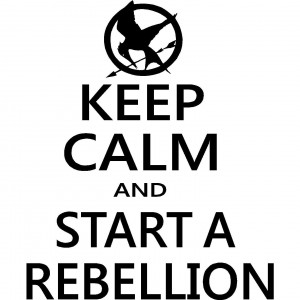 Hunger Games Mocking Jay Wall...