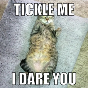 Prepare To Be Torn Pieces picture