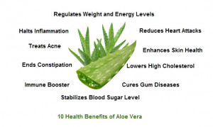 Health experts regard aloe vera as nature’s most impressive and ...
