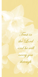 Cover: Trust in the Lord and he will carry you through