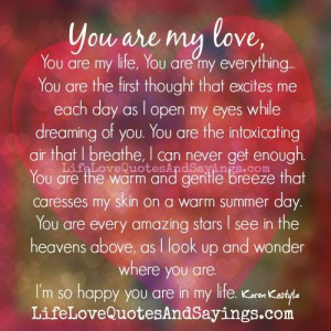 You Are My Everything Quotes And Sayings You are my love,