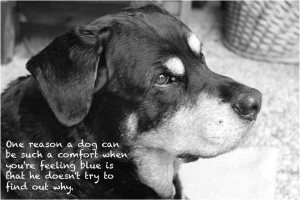 One reason a dog can be such a comfort when you're feeling blue is ...
