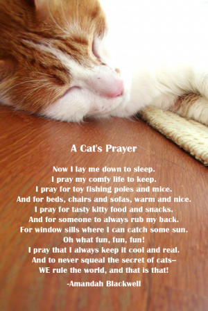 Cat Grieving Quotes