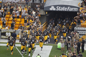 Displaying (18) Gallery Images For Steelers Football Team 2013...