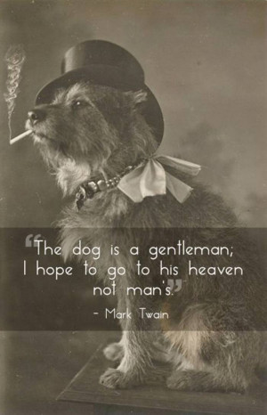 Great Quotes about Pets — After reading these quotes you will love ...