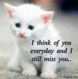 Missing Pet Network - For More Inspiring and Love Quotes ♥ Check Out ...
