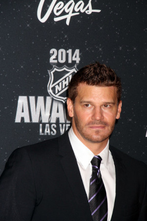 David Boreanaz 2014